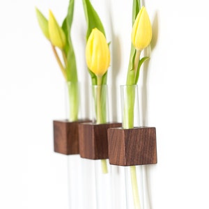 Small Test Tube Holder Bud Vase Propagation Station for Kitchen or Unique Gift