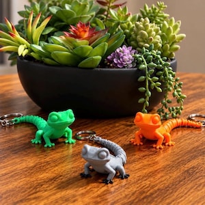 May include: Three articulated lizard keychains in bright green, vibrant orange, and solid grey. Each lizard features large, rounded eyes, a textured back, and a flexible tail attached to a circular metal split ring for keys or accessories.