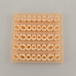 May include: A square beige dental model base featuring five horizontal rows of teeth. The top row displays eight complete tooth crowns, while the four rows below consist of eight hollowed-out tooth structures each, all in a uniform light beige color.