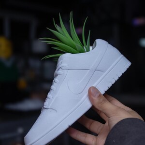 Può includere: Un vaso per piante a forma di sneaker bianca tinta unita con una superficie testurizzata e una classica silhouette bassa. Il design della scarpa include uno swoosh laterale, lacci e una suola spessa. Una pianta succulenta verde e appuntita è posizionata all'interno dell'apertura.
