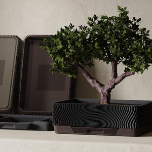 Puede incluir: Un pequeño árbol de hojas verdes plantado en una maceta rectangular negra con un patrón ondulado texturizado en los lados. La maceta tiene una base marrón oscura y un borde superior liso. Se ven otros dos recipientes rectangulares vacíos.