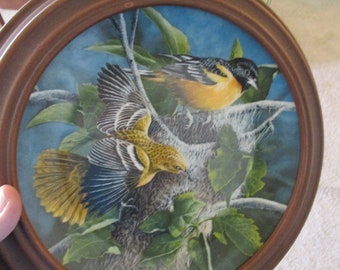 8.5 Diameter Knowles-The Baltimore Oriole by Kevin Daniel-3rd Issue In The Encyclopedia Britannica Birds Of Your Garden Collection Edwin M