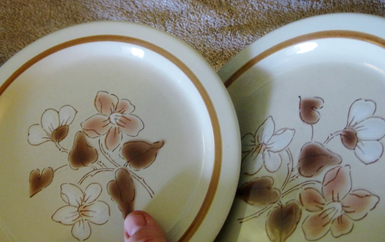 Set of Two Rare Finesse Stoneware Salad Great Simply Spice Sy-7708