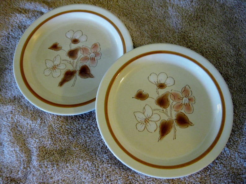 Set of Two Rare Finesse Stoneware Salad Great Simply Spice Sy-7708
