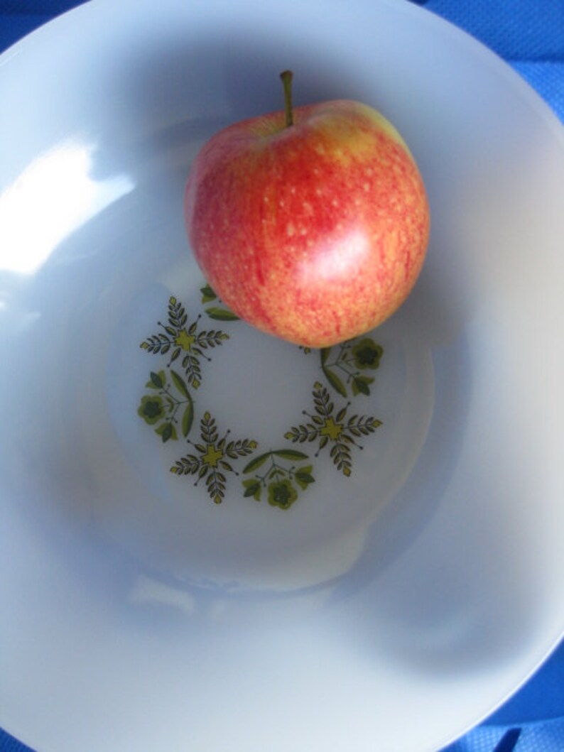 Dinnerware Oven to Table Bowl, Vintage Anchor Hocking Green Meadow Dinnerware Bowl Great