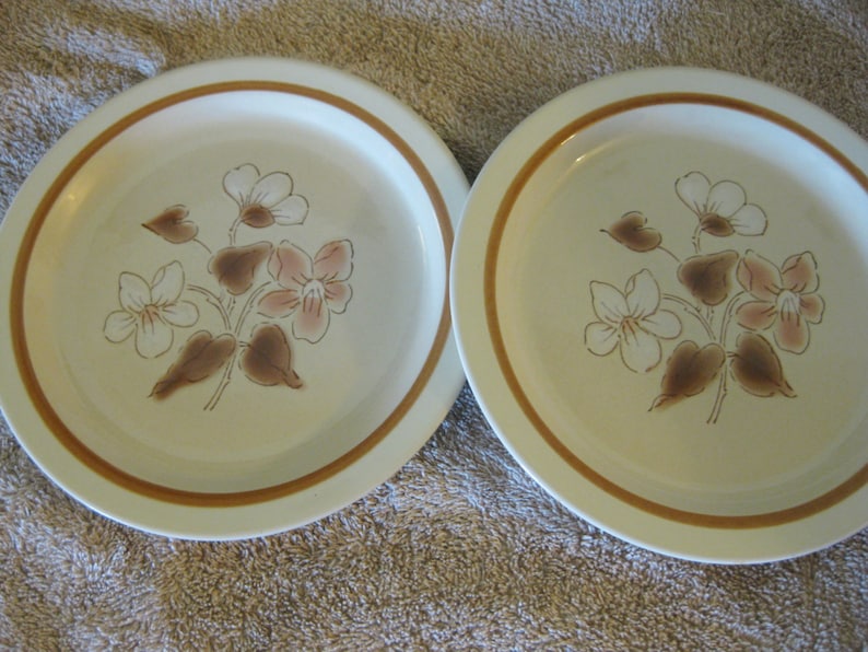 Set of Two Rare Finesse Stoneware Salad Great Simply Spice Sy-7708