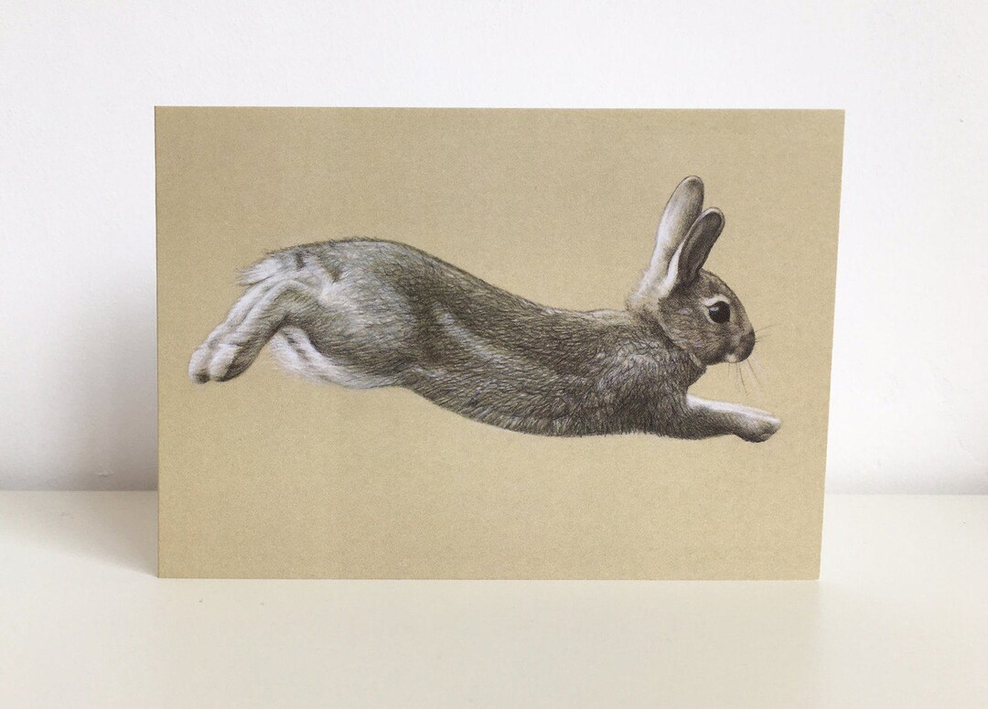 Run Rabbit Greeting Card - Etsy