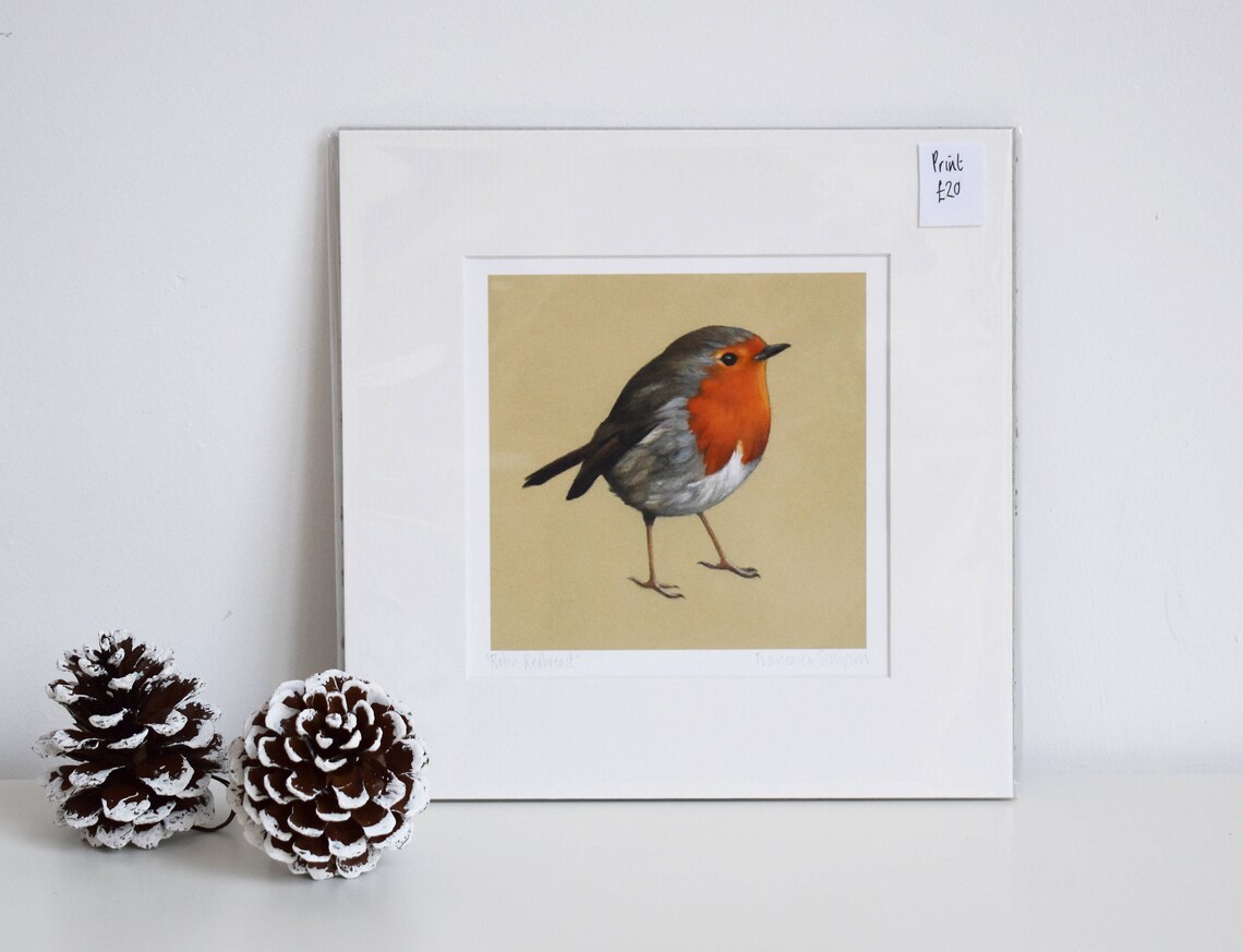 Robin Redbreast Mounted Print - Etsy UK