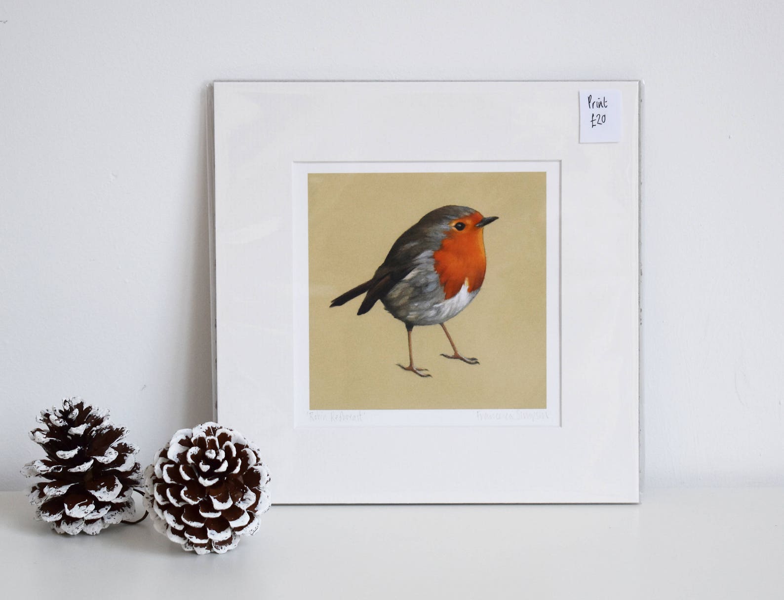 Robin Redbreast Mounted Print - Etsy UK