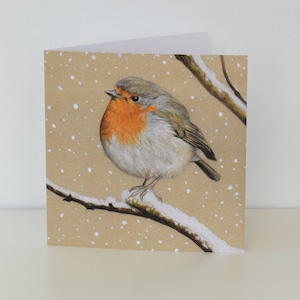 Lot de 6 cartes Winter Robin