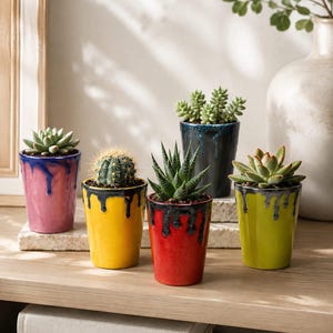 May include: Four small ceramic planters containing various succulents and a cactus. The pots feature a glossy finish with a distinctive drip-glaze effect in pink, yellow, red, and lime green, each topped with a dark blue or black rim.
