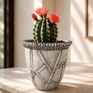 May include: A green, spherical cactus with three vibrant coral-pink flowers blooming from the top, planted in a textured, off-white ceramic pot featuring a geometric, cracked-pattern design with dark grey detailing along the rim and grooves.