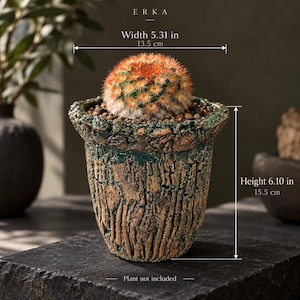 May include: A round, textured planter with a dark green and bronze finish, featuring a rugged, bark-like surface. The planter has a width of 13.5 cm and a height of 15.5 cm. The text ERKA is visible at the top, and Plant not included is below.