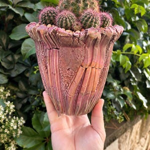 May include: A cluster of small, round green cacti with pink-tipped spines planted in a textured, hand-sculpted ceramic pot. The pot features a vertical, ribbed design with a weathered, multi-tonal pink and earthy brown glaze finish.