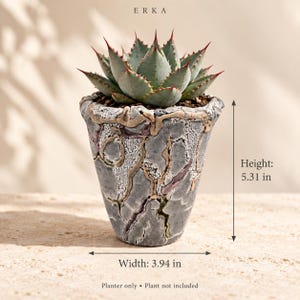 Peut inclure: Un pot de fleurs en céramique grise avec une surface texturée et craquelée et des accents dorés en relief. Le pot mesure 13,49 cm de hauteur et 10,01 cm de largeur. Le texte ERKA est visible en haut. Le pot contient une plante succulente.