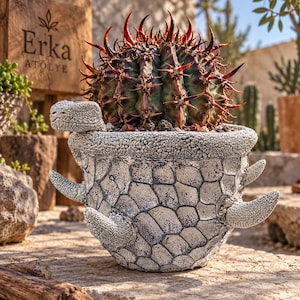 Peut inclure: Un pot de fleurs rond et texturé en forme de tortue avec une finition en pierre grise craquelée, doté d'une tête saillante et de quatre pattes en forme de nageoires. Le pot contient un gros cactus sphérique aux segments vert foncé et épines brun-rouge.