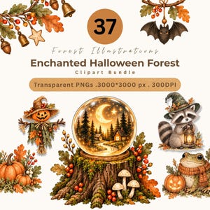 May include: A digital clipart bundle titled 37 Forest Illustrations Enchanted Halloween Forest featuring a crystal ball on a tree stump, a pumpkin scarecrow, a raccoon with a lantern, a frog with a pumpkin, and various autumn foliage elements.