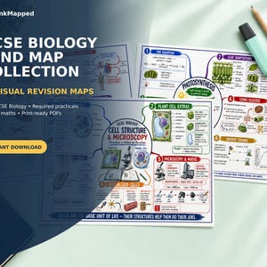 Puede incluir: Una colección de hojas de estudio de biología GCSE en formato de mapa mental con diagramas coloridos de células vegetales y animales, fotosíntesis y microscopía, que incluyen etiquetas de texto, ecuaciones y dibujos científicos.