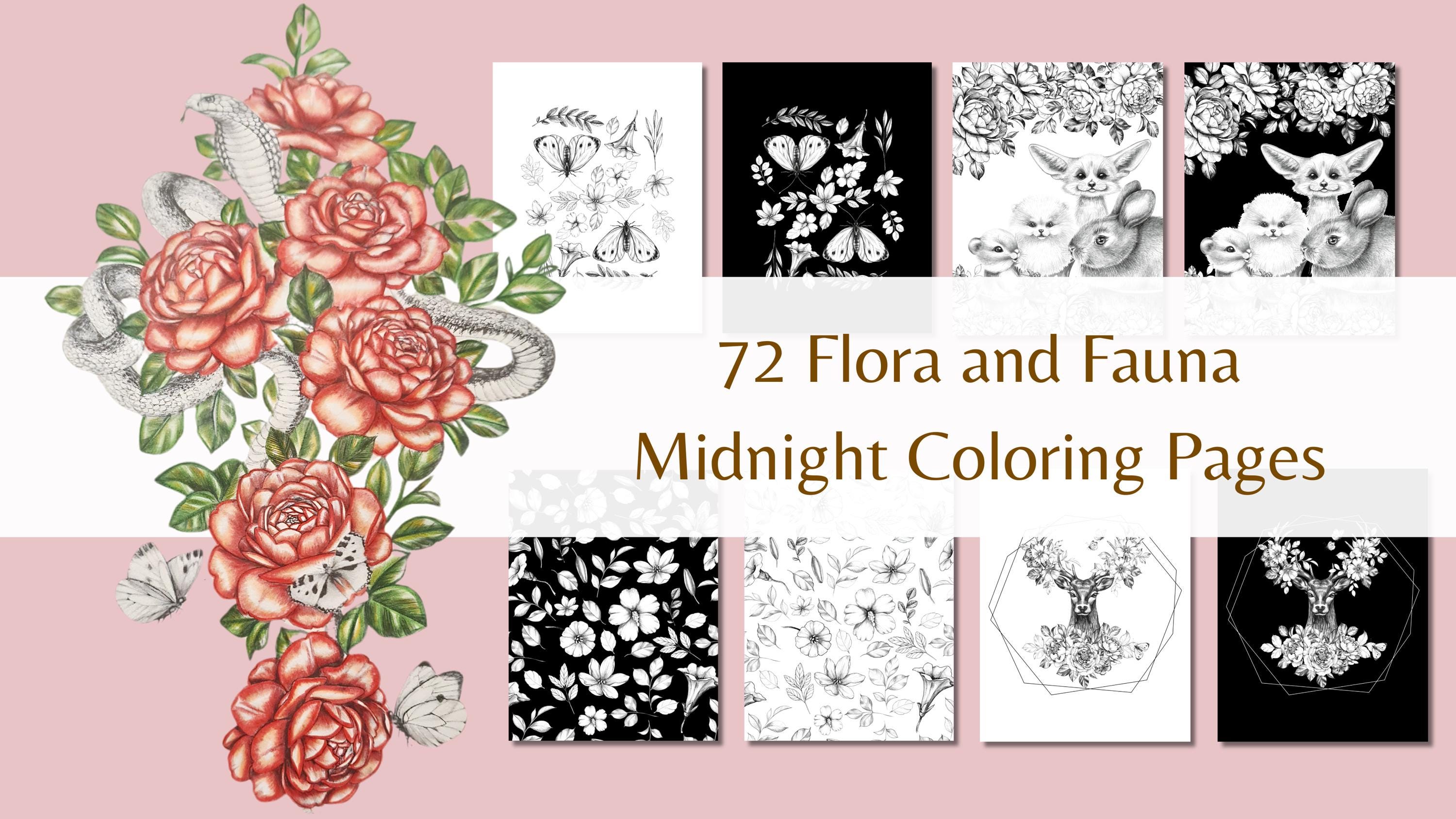 Flora and Fauna Colouring Book - Etsy