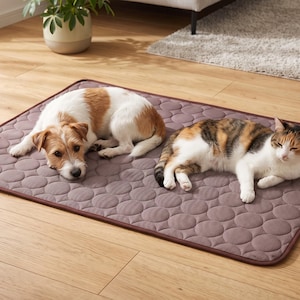 Puede incluir: Una alfombrilla refrigerante rectangular para mascotas en color malva apagado con un patrón acolchado circular repetitivo y un borde marrón oscuro. Un Jack Russell Terrier blanco y canela y un gato calicó están tumbados sobre la alfombrilla.