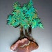 see more listings in the Bonsai ready to ship section