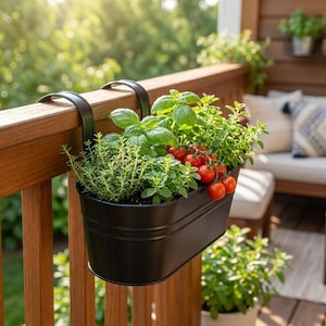 Pode incluir: Uma floreira oval de metal preto mate com dois ganchos curvos para pendurar num corrimão. A floreira está cheia de terra e contém uma variedade de ervas verdes e um cacho de pequenos tomates cereja vermelhos brilhantes no ramo.