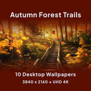 Autumn Forest Trails 4K UHD Desktop Wallpapers | Digital Backgrounds