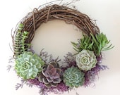 Special Occasion Succulent Wreath 14 quot Diameter