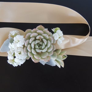 Succulent corsage- Please leave a note at checkout with event date.