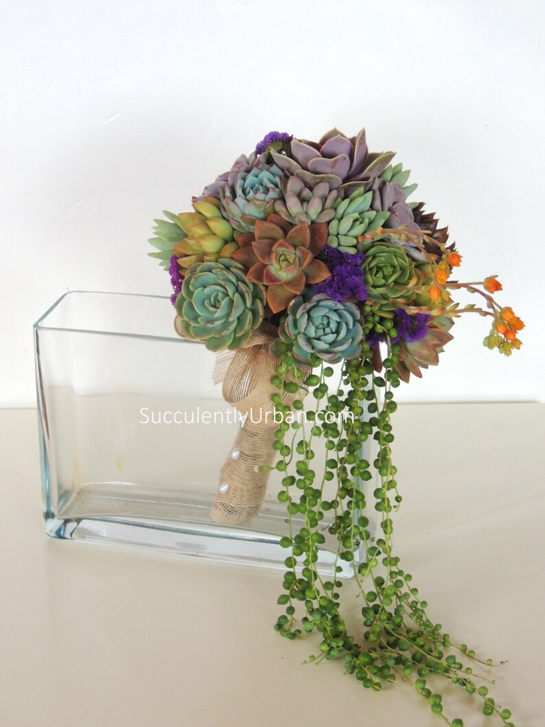 Colorful succulent bouquet with cascading senecio