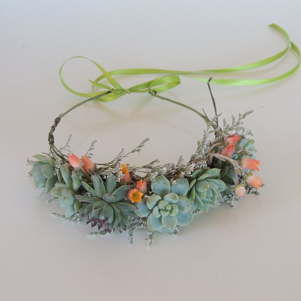 Succulent Crown