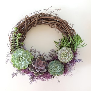 Special Occasion Succulent Wreath 14" Diameter