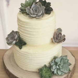 Cake decorating kit - succulents for cake
