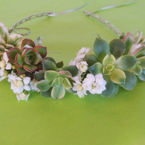 Succulent Crown