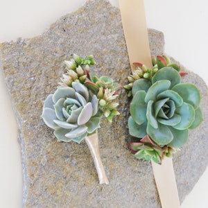 Small Wrist Corsage- and matching boutonniere