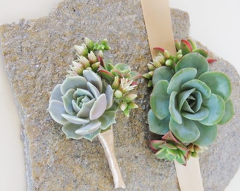 Small Wrist Corsage- and matching boutonniere