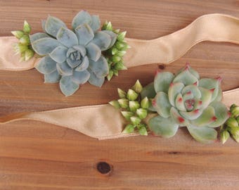 Small succulent corsage and matching boutonniere -Please leave a note at checkout with event date.