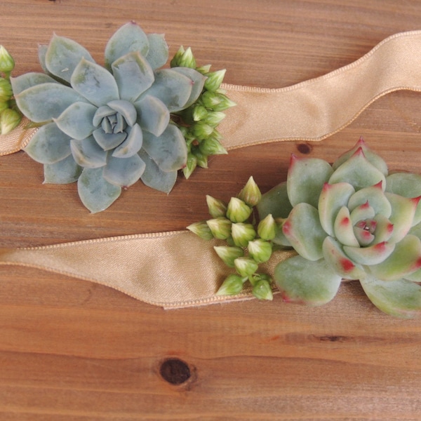 Small succulent corsage and matching boutonniere -Please leave a note at checkout with event date.