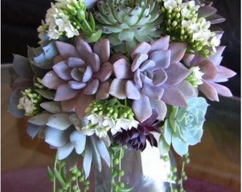 Succulent bouquet-cascading -Hannah April