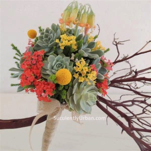 Succulent Wedding Bouquets Succulent Bridal Bouquet Bridal Etsy