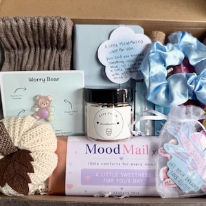 May include: A gift box containing a pair of brown ribbed socks, a light blue notebook, a cloud-shaped note, a light blue satin scrunchie, a Worry Bear card, a jar of Cozy Cocoa, a knit pumpkin, and a bag of stickers labelled Let Your Dreams Take Flight.