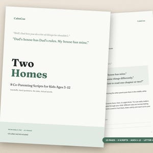 Puede incluir: Un documento PDF imprimible titulado Two Homes, 8 Co-Parenting Scripts for Kids Ages 3-12. La portada presenta el texto: Well, Dad lets you do a lot of things he shouldn't. Dad's house has Dad's rules. My house has mine. Handoffs. Hard questions. No sides. Actual words.