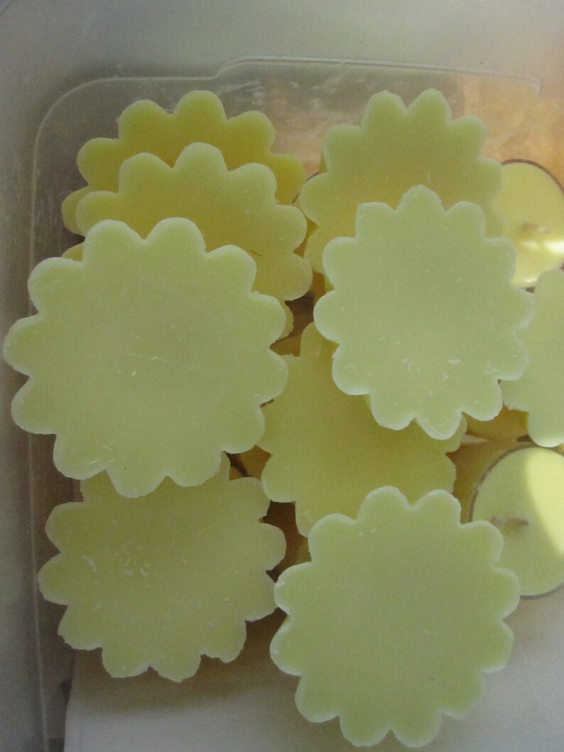 Tealights or Votives Fruit Slices scented Melts