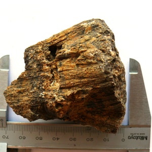 Op de afbeelding: Een ruw, getextureerd gesteentemonster met bruine en zwarte banden. Een metalen schuifmaat is naast de steen geplaatst en toont metingen in centimeters. De steen heeft een natuurlijk, aards uiterlijk, met zichtbare lagen en kleurvariaties.