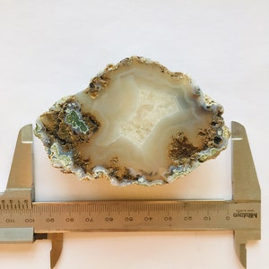 May include: A polished agate geode slice with a central cavity. The stone features concentric bands of white, tan, and brown, with areas of green and blue. A metal caliper is placed across the stone, measuring its width.