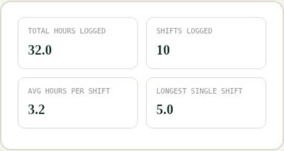 Volunteer Hours Tracker — Google Sheets & Excel spreadsheet by ToolWise Digital — view 5