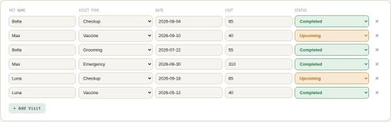 Pet Health & Vet Visit Tracker Spreadsheet — Google Sheets & Excel spreadsheet by ToolWise Digital — view 6