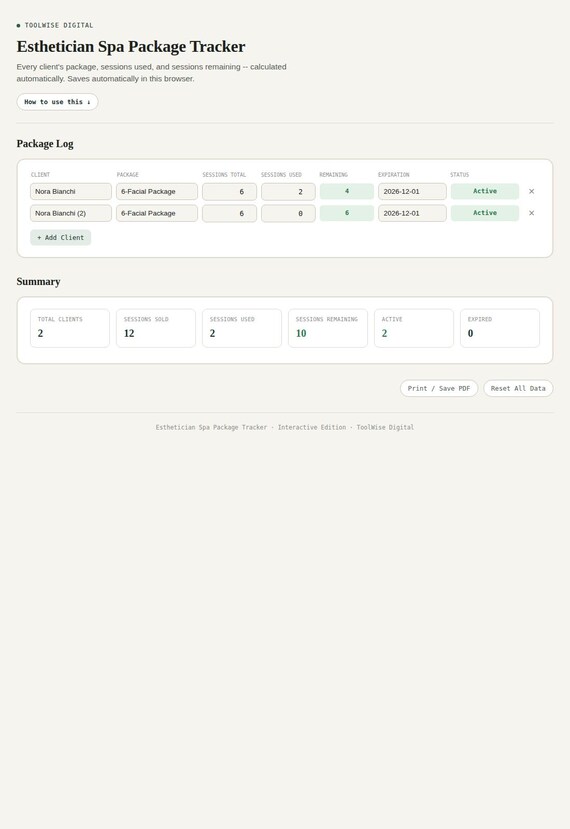 Esthetician Spa Package Tracker — Google Sheets & Excel spreadsheet by ToolWise Digital — view 3