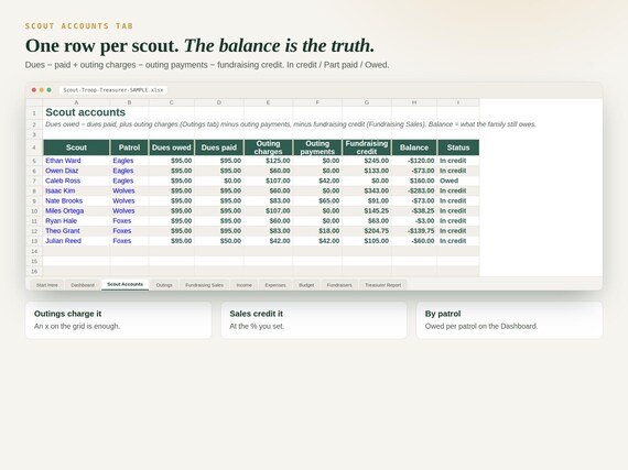 Scout Troop Treasurer Spreadsheet — Google Sheets & Excel spreadsheet by ToolWise Digital — view 3