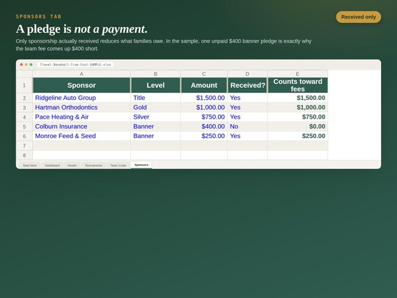 Travel Baseball Budget Spreadsheet — Google Sheets & Excel spreadsheet by ToolWise Digital — view 9